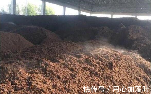 茅台酒糟的奇妙再生之旅 5斤粮食酿1斤酒，剩下90%都去哪了？